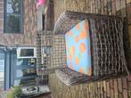6 nette tuinstoelen, Tuin en Terras, Ophalen of Verzenden, Zo goed als nieuw, Kunststof