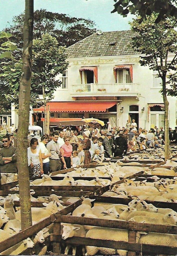 Texel- -Lammerenmarkt, Den Burg., Ophalen of Verzenden, 1960 tot 1980, Gelopen, Waddeneilanden