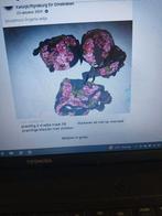 jammer foto is niet goed prachtig 3d setje rood zwart, Kleding | Dames, Ophalen, Rood, Setje