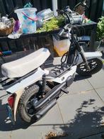 Piaggio Citta brommer -, Fietsen en Brommers, Ophalen of Verzenden, Gebruikt, Overige typen, Piaggio