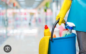 Betrouwbare schoonmaakster met 12 jaar ervaring zoekt werk beschikbaar voor biedingen