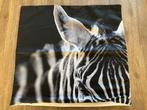 Kussenhoes Zebra, Ophalen of Verzenden, Nieuw, Zwart, Vierkant