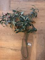 Olijftak kunst, Ophalen of Verzenden, Nieuw