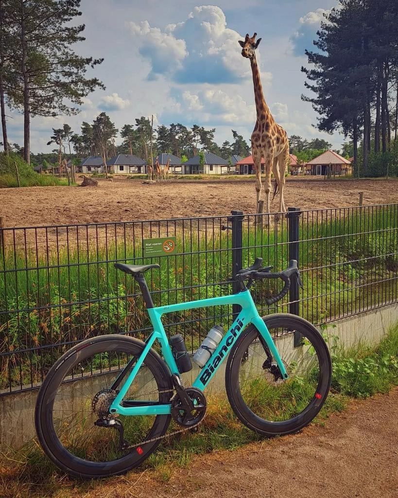 Bianchi Aria 105 Di2 Maat 57 + Fulcrum 55mm carbon wielen, Overige merken, 28 inch, Carbon, Heren