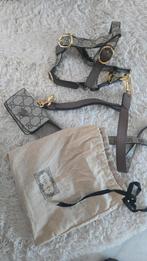 Honden tuigje gucci nieuw met riem, Ophalen of Verzenden, Nieuw, Hondenriem-accessoire