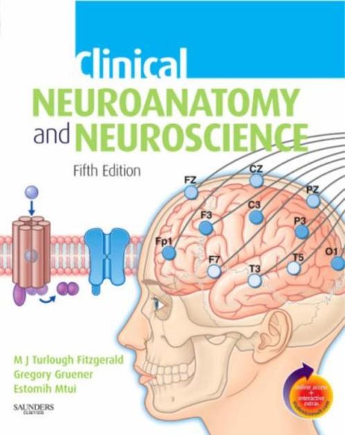 Clinical neuroanatomy and neuroscience, Boeken, Studieboeken en Cursussen, Nieuw, WO, Beta, Ophalen of Verzenden