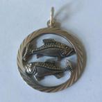 Mooie vintage sterrenbeeld hanger vissen 835 zilver 8,50, Gebruikt, Overige voorstellingen, Ophalen of Verzenden, Zilver