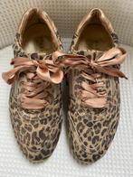 Hassia leren schoenen, maat 4 (maat 37) Breedtemaat H, Kleding | Dames, Schoenen, Hassia, Zwart, Ophalen of Verzenden, Sneakers of Gympen