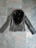 Nieuw Lederen jas merk Josephine & Co maat 40, Kleding | Dames, Maat 38/40 (M), Josephine & Co, Bruin, Nieuw