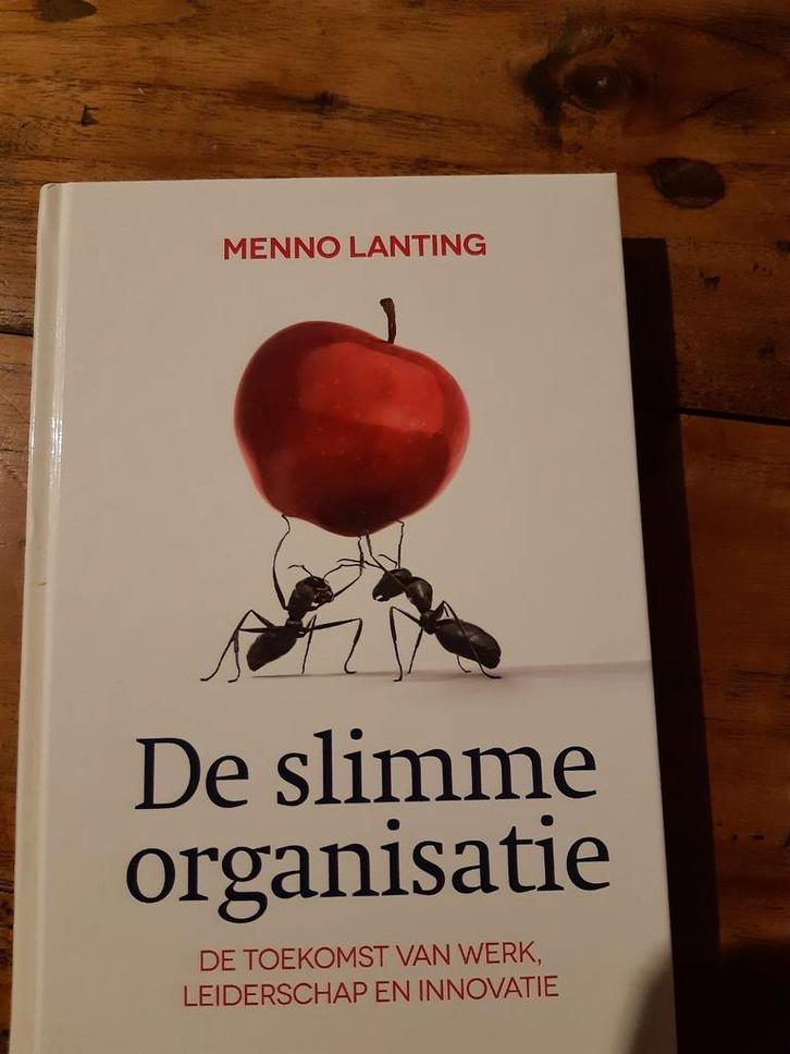 Menno Lanting - De slimme organisatie, Boeken, Economie, Management en Marketing, Zo goed als nieuw, Management, Ophalen of Verzenden