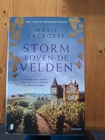 Storm boven de velden. beschikbaar voor biedingen