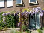 NIEUW! Woonruimte te huur Steenheuvelsestraat, Leuth