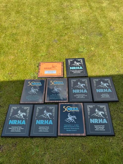 NRHA Reining Trofeeën Collectie - Grathem, Nederland (10 stu, Antiek en Kunst, Antiek | Overige Antiek, Ophalen of Verzenden
