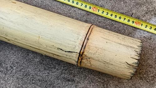 Bamboe Paal van 250cm lang x ø8cm, Tuin en Terras, Palen, Balken en Planken, Zo goed als nieuw, Palen, 250 cm of meer, Ophalen