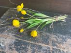 Kunst tulpen met gedroogde bloesemtakken, nieuw, Huis en Inrichting, Woonaccessoires | Kunstplanten en Kunstbloemen, Ophalen of Verzenden