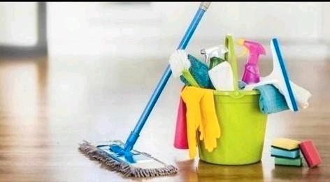 Sc, Diensten en Vakmensen, Schoonmakers en Glazenwassers, Schoonmaken woning
