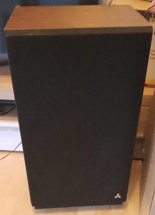 Grote luidspreker, Audio, Tv en Foto, Luidsprekers, Gebruikt, Front, Rear of Stereo speakers, Minder dan 60 watt, Overige merken