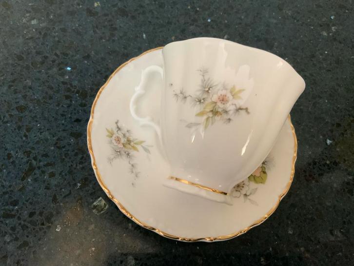 Sheltonian Bone China Kop en Schotel - Engels Design, Antiek en Kunst, Antiek | Servies compleet, Ophalen of Verzenden