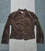 Grijs zwart jasje fluweel maat 42, Kleding | Dames, Ophalen of Verzenden, Zo goed als nieuw, Zwart