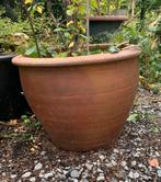 Grote bruine bloempot, Ophalen, Gebruikt, 40 cm of meer, Tuin