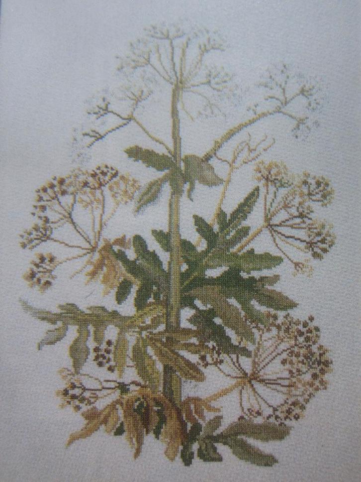 borduur en patroon wilde weide kruiden bloemen fluitenkruid, Hobby en Vrije tijd, Borduren en Borduurmachines, Zo goed als nieuw