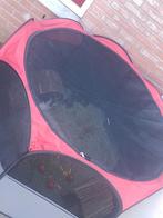 Mooie zgan dierenren .kitten .puppy of cavia konijn, Ophalen of Verzenden, Zo goed als nieuw