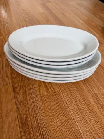 Horeca Serveerschalen - Diverse Maten beschikbaar voor biedingen