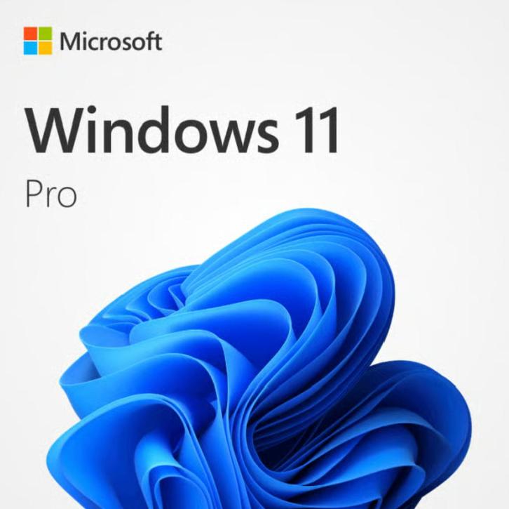 Windows 11 Professional Retail Nederlands x64bit, Computers en Software, Besturingssoftware, Nieuw, Windows, Verzenden