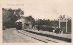 Renesse Halte der RTM met stoomtram 3571, Verzamelen, Zeeland, Gelopen, Ophalen of Verzenden, Voor 1920