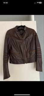 Stoer Mango leren jasje - Donkerbruin - Maat XL, Bruin, Maat 46/48 (XL) of groter, Ophalen of Verzenden, Zo goed als nieuw