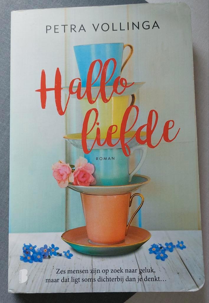 Petra Vollinga - Hallo liefde, Boeken, Romans, Zo goed als nieuw, Nederland, Ophalen of Verzenden