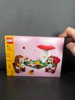 LEGO 40711 Egel Picknick Date - Nieuw in doos!, Kinderen en Baby's, Speelgoed | Duplo en Lego, Ophalen, Nieuw, Complete set, Lego