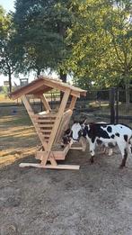 hooiruif voor geitjes en kleine schaapjes, Meerdere dieren, Schaap