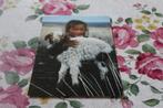 Schapen Postkaart - Meisje houdt Lammetje vast, Mongolië, Verzamelen, Ansichtkaarten | Dieren, Verzenden, 1980 tot heden, Ongelopen
