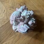 Decoratieve cluster van zeepokken, Ophalen of Verzenden, Gebruikt