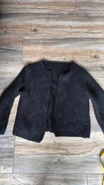 Grof gebreide zwarte vest 1 maat, Ophalen of Verzenden, Zo goed als nieuw, Zwart