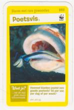 Super dieren no.92 Poetsvis [2726]  [VeOvSu], Verzamelen, Supermarktacties, Albert Heijn, Ophalen of Verzenden