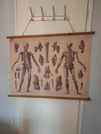 Mooi doek, Antiek en Kunst, Antiek | Schoolplaten, Ophalen of Verzenden, Aardrijkskunde