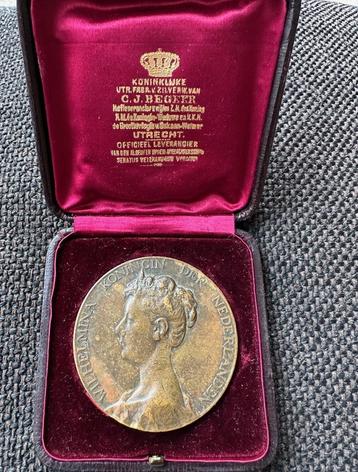 Penning Inhuldiging Koningin Wilhelmina 1898. beschikbaar voor biedingen