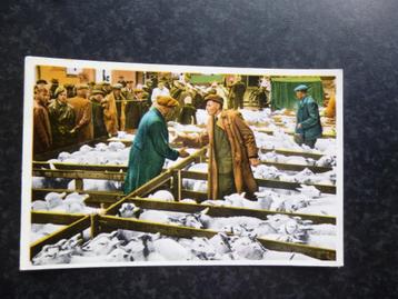 TEXEL  Lammerenmarkt 1958 beschikbaar voor biedingen