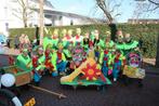 Kostuums & accessoires voor carnaval bloemen en tuinmannen, Kleding | Heren, Carnavalskleding en Feestkleding, Ophalen, Gedragen