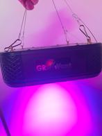 LED Kweeklamp - Grow Want - 240W, Tuin en Terras, Kweekspullen, Ophalen of Verzenden, Gebruikt, Kweeklamp