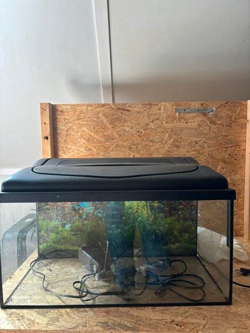 Aquarium 50liter te koop, Dieren en Toebehoren, Vissen | Aquaria en Toebehoren, Gebruikt, Leeg aquarium, Ophalen