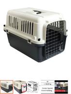 Reismand kitten, Ophalen of Verzenden, Nieuw