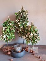 Steeneik Kerstboom - 3 Maten, Ophalen of Verzenden, Nieuw