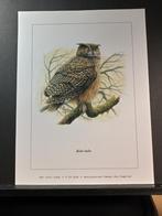 Oehoe - Buzin - prent kunst afmeting 18 x 24 cm, Verzamelen, Verzenden, 1980 tot heden, Zo goed als nieuw, Dier