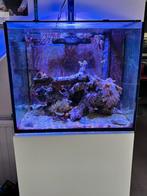 Leeg zee aquarium, Dieren en Toebehoren, Ophalen, Gebruikt, Leeg aquarium