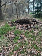 Koemest, Ophalen of Verzenden