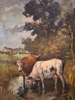 Schilderij Koeien in Landschap piet in 't hout, Ophalen of Verzenden