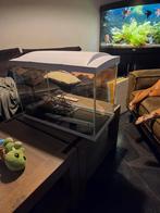 Aquarium 70 liter voor de starter, Dieren en Toebehoren, Vissen | Aquaria en Toebehoren, Ophalen of Verzenden, Zo goed als nieuw
